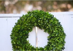 Preserved Boxwood Wreath Bulk Large Preserved Boxwood Wreath Base Wreath Spring Wreath