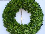 Preserved Boxwood Wreath Bulk Large Preserved Boxwood Wreath Spring Wreath Winter