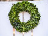 Preserved Boxwood Wreath Bulk Preserved Boxwood Wreath Base Wreath by theblaithinblairshop