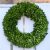 Preserved Boxwood Wreath wholesale Large Preserved Boxwood Wreath Spring Wreath Winter
