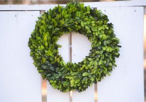 Preserved Boxwood Wreath wholesale Preserved Boxwood Wreath Base Wreath by theblaithinblairshop