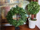 Preserved Boxwood Wreath wholesale Preserved Garden Boxwood Wreath 14 Quot Flora Decor