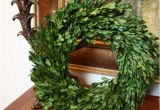 Preserved Boxwood Wreath wholesale Preserved Garden Boxwood Wreath 14 Quot Flora Decor