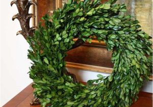 Preserved Boxwood Wreath wholesale Preserved Garden Boxwood Wreath 14 Quot Flora Decor