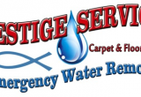 Prestige Carpet Cleaning Summerville Sc Water Damage Removal Carpet Cleaning Charleston Goose