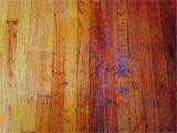 Prestige Carpet Cleaning Summerville Sc Water Damage Removal Carpet Cleaning Charleston Goose