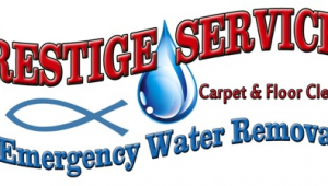 Prestige Carpet Cleaning Summerville Sc Water Damage Removal Carpet Cleaning Charleston Goose