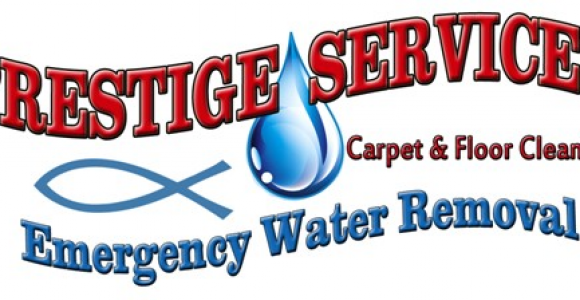 Prestige Carpet Cleaning Summerville Sc Water Damage Removal Carpet Cleaning Charleston Goose