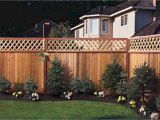 Privacy Fence Ideas On A Budget Affordable Backyard Privacy Fence Design Ideas 53 Cape Cod