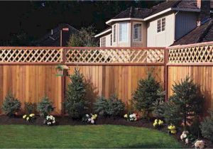 Privacy Fence Ideas On A Budget Affordable Backyard Privacy Fence Design Ideas 53 Cape Cod