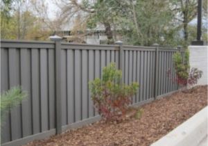 Privacy Fence Ideas On A Budget Cheap Diy Privacy Fence Ideas 17