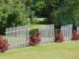 Privacy Fence Ideas On A Slope Fence Line Landscaping Ideas for Creative Homeowners