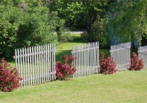 Privacy Fence Ideas On A Slope Fence Line Landscaping Ideas for Creative Homeowners