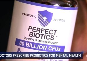 Probiotic America Perfect Biotics Slim Perfect Biotics Probiotic America Perfect Ingredients