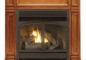 Procom Vent Free Gas Logs Reviews 45038