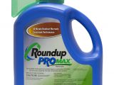 Prodiamine 65 Wdg Label Greenleaf Turf solutions