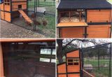 Producer S Pride Defender Chicken Coop 17 Best Images About Backyard Chickens On Pinterest the