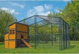 Producer S Pride Defender Chicken Coop 308 Best Backyard Chickens Images On Pinterest