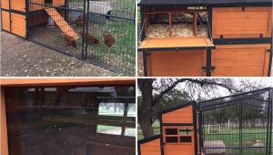 Producer S Pride Defender Chicken Coop Producer 39 S Pride Defender Chicken Coop solid Wood