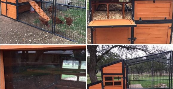 Producer S Pride Defender Chicken Coop Producer 39 S Pride Defender Chicken Coop solid Wood