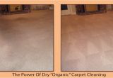 Professional Carpet Cleaning Amarillo Tx Amarillo Drycarpet Services Carpet Cleaning In Amarillo
