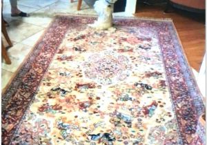 Professional Carpet Cleaning Amarillo Tx Carpet Cleaning Amarillo Tx Rachellouise Co
