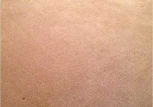 Professional Carpet Cleaning Stafford Va Carpet Cleaning and Expert Stains Removal Fredericksburg