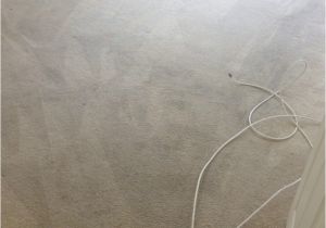 Professional Carpet Cleaning Stafford Va Carpet Cleaning and Expert Stains Removal Fredericksburg