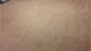 Professional Carpet Cleaning Stafford Va Carpet Cleaning and Expert Stains Removal Fredericksburg