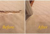 Professional Carpet Cleaning Stafford Va Carpet Pet Damage Repair In Stafford Va