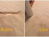 Professional Carpet Cleaning Stafford Va Carpet Pet Damage Repair In Stafford Va