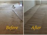 Professional Carpet Cleaning Stafford Va Recent Carpet Stretching and Carpet Cleaning Job In