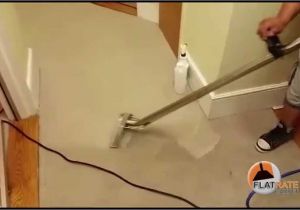 Professional Carpet Cleaning Summerville Sc Flat Rate Carpet Hallway Wall to Wall Carpet Cleaning Youtube