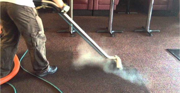 Professional Carpet Cleaning Summerville Sc Steamline Best Commercial Carpet Cleaning Company Fredericksburg Va