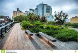 Public Park In Manhattan High Line Park Urban Public Park On An Historic Freight