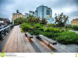 Public Park In Manhattan High Line Park Urban Public Park On An Historic Freight