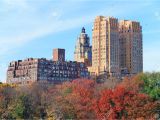 Public Park In Manhattan New York Central Park In New York City Manhattan Midtown In Autumn with