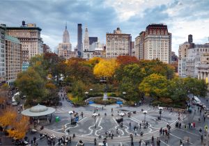 Public Park In Manhattan New York October In New York City Weather and event Guide