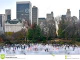 Public Park In Manhattan New York Wollman Skating Rink Central Park Nyc Editorial Image Image Of