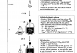 Public Storage 192nd Edmond Ok Patent Us8080391 Process Of Producing Non Naturally Encoded Amino