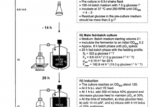 Public Storage 192nd Edmond Ok Patent Us8080391 Process Of Producing Non Naturally Encoded Amino