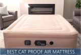 Puncture Proof Air Mattress Best Cat Puncture Proof Air Mattresses Updated Reviews