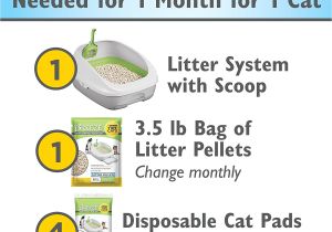 Purina Tidy Cats Breeze Cat Litter Box Reviews Amazon Com Purina Tidy Cats Breeze Cat Litter System Starter Kit