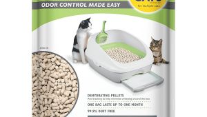 Purina Tidy Cats Breeze Litter Box System Reviews Amazon Com Purina Tidy Cats Breeze Pellets Refill Cat Litter 6