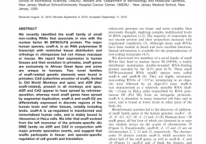 Putas En Dallas Tx Pdf Phf10 is Required for Cell Proliferation In normal and Sv40