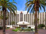 Que Hacer En San Diego Por La Noche Sheraton San Diego Hotel Marina En San Diego Estados Unidos Desde