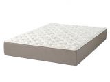 Queen Hampton and Rhodes 100 6.5 Firm Mattress Reviews Mattress Clearance Discounts Deals