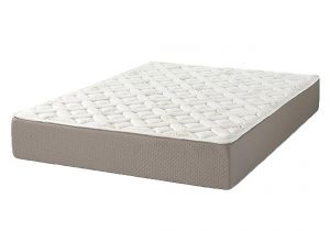 Queen Hampton and Rhodes 100 6.5 Firm Mattress Reviews Mattress Clearance Discounts Deals