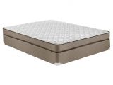 Queen Hampton and Rhodes 100 6.5 Firm Mattress Reviews Shop Mattresses Mattress Firm