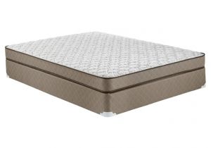 Queen Hampton and Rhodes 100 6.5 Firm Mattress Reviews Shop Mattresses Mattress Firm